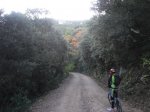 POBLET 1.jpg