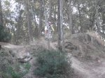 DSCF0216.jpg