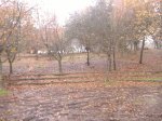 DSCF1168.jpg