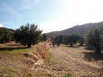 SANY0737.JPG