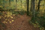 100_2151.jpg