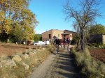 DSC03766.jpg