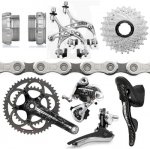 GRUPO CAMPAGNOLO CHORUS.jpg