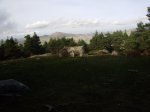 PB080917.jpg
