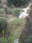SDC10508.jpg