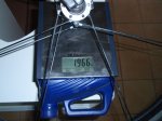 Copia de Peso delantera.jpg