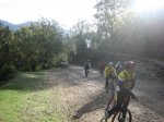 IMG_4724.jpg