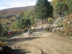 IMG_4731.jpg