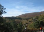 IMG_4732.jpg