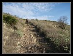 PB150090.jpg