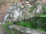 IMG_4755.jpg