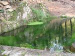 IMG_4756.jpg