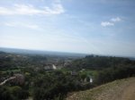IMG_4761.jpg