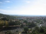 IMG_4762.jpg