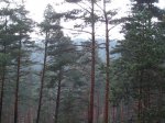 DSC05233.jpg
