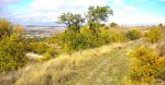 DSCN0556.jpg