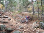 DSCF0958.JPG