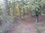 Foto0312 (Medium).jpg