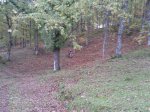 Foto0315 (Medium).jpg
