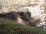 Foto0321 (Medium).jpg