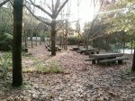 Foto001.jpg