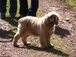 DSCF1171.jpg