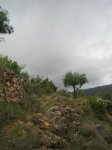 IMG_1474.jpg