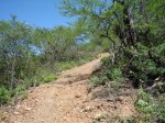 DSC02824.jpg