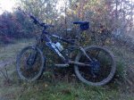 P1141_18-11-09.jpg