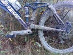 P1142_18-11-09.jpg