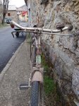 DSC04517.jpg