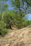 DSC02844.jpg