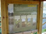 DSC03754.jpg