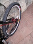 DSC00918.JPG