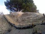 DSC00119.jpg