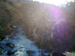 19112009_005.jpg