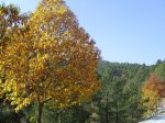 IMG_0007.jpg