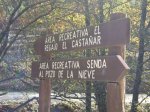 IMG_0010.jpg