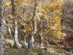 IMG_0011.jpg