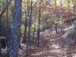 IMG_0016.jpg