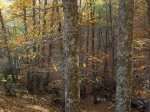 IMG_0018.jpg