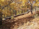 IMG_0021.jpg