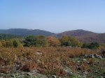 IMG_0028.jpg
