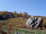 IMG_0029.jpg