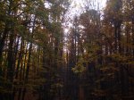 IMG_0075.jpg