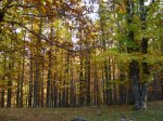 IMG_0073.jpg