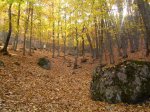 IMG_0070.jpg
