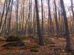 IMG_0066.jpg