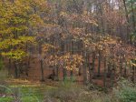 IMG_0056.jpg