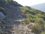 IMG_0047.jpg